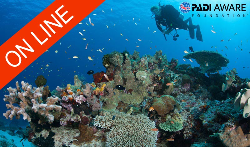 Aware e Coral Reef Conservation - ONLINE